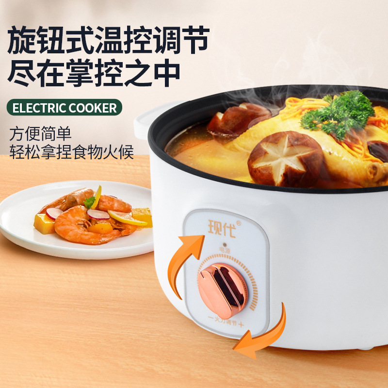 Mini-casserole électrique mult - Kitchen Appliances Cooking avis et prix